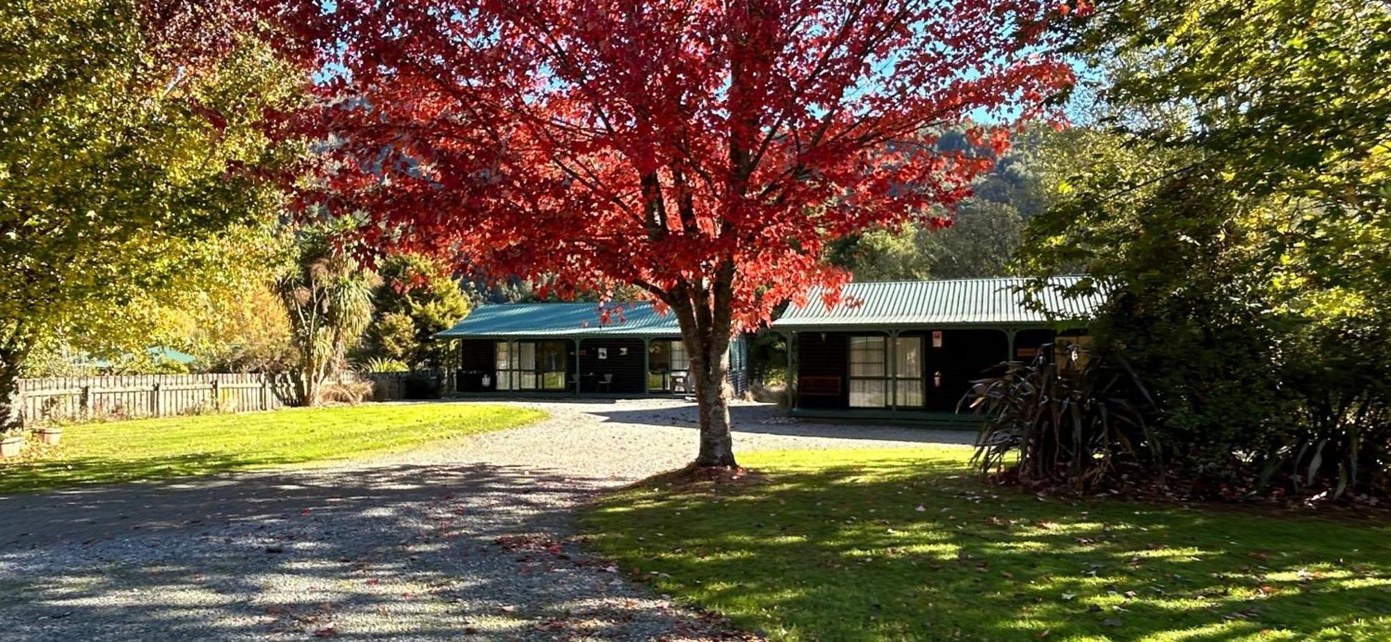 Kiwi Park Motels Murchison Buitenkant foto